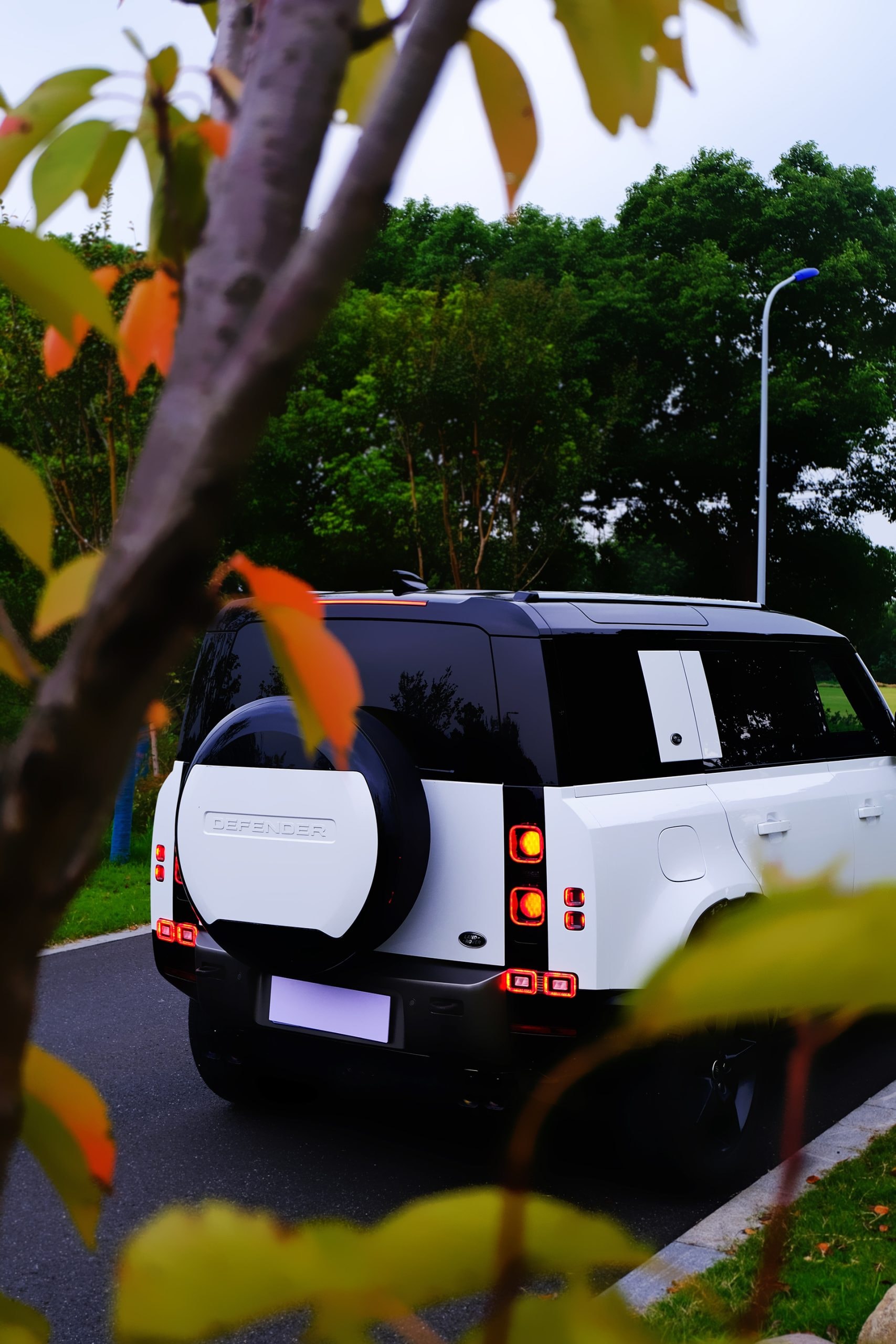 Defender LED Reverse Assist Lights — Third Generation (Pair)